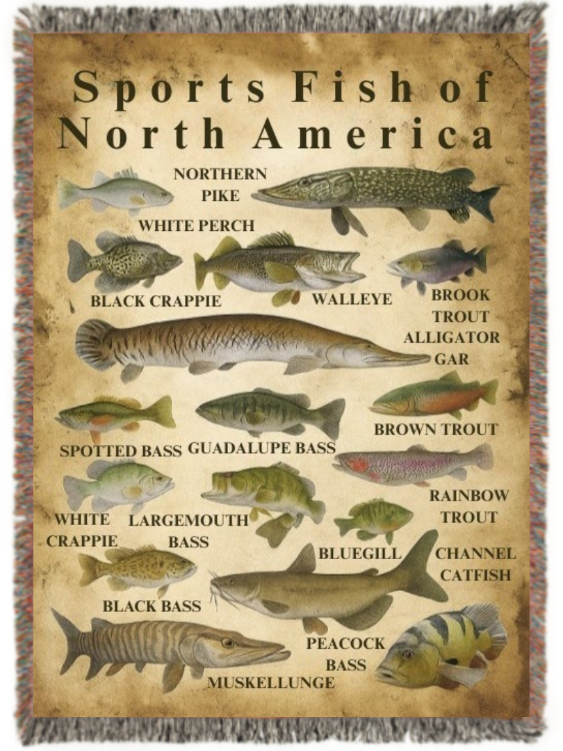 Fishing Blankets