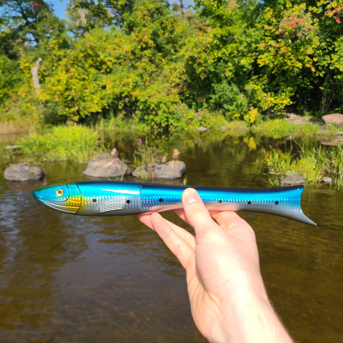 FishyFlow