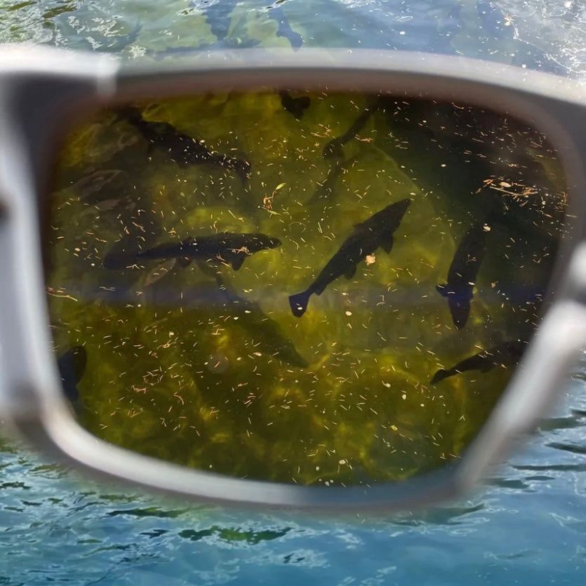 FishyFlow Polarized Glasses™