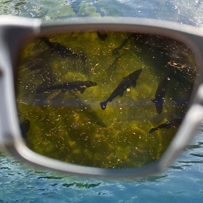 FishyFlow Polarized Glasses™